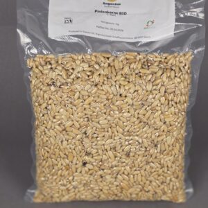 Pinienkerne BIO Selection Gastronomique 1000g ESP
